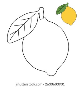 Lemon coloring pages for kids. Trace and color Lemon. Lemon fruit flashcard for kids vector illustration. Letters L is for Lemon. Fun fruit worksheets printable for kids activity.