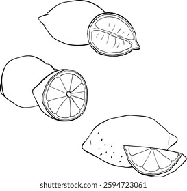 Ensemble de composition de citron. Illustration vectorielle graphique à l'encre au trait Dessinée à la main avec des tranches dessin noir et blanc isolé sur blanc
