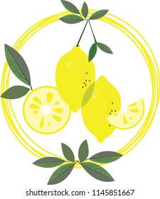 lemon composition, vector background