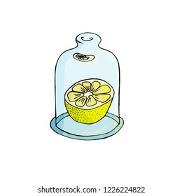 lemon in conteiner