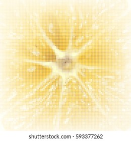 Lemon core texture pattern made of squares. Vector.