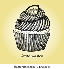 Lemon cupcake. Sketch. Vector hand-drawn illustration