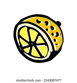 Lemon cut doodle illustration in vector. Hand drawn.