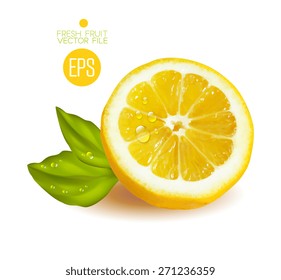 Lemon cut in half. Citrus isolated on white background beautiful fresh fruit. Vector realistic art illustration for advertising packaging carton bottle banner wallpaper. 