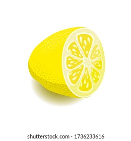 El limón en el corte. Medio limón. Imagen vectorial aislada en fondo blanco