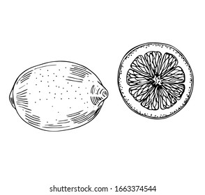 Lemon with cut in line art style.
