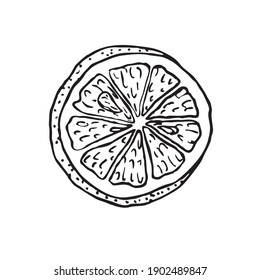 Lemon cut slice, doodle black ink drawing, woodcut style