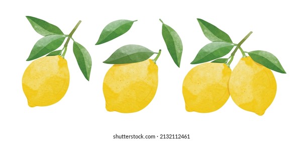 Lemon Design elements set. watercolour style vector illustration.