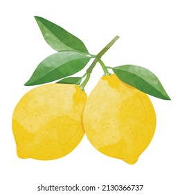 Lemon Design elements. watercolour style vector illustration.	
