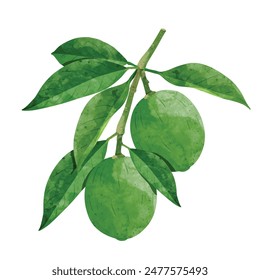 Lemon Design elements. watercolour style vector illustration.