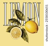 lemon design vector slogan for t-shirt