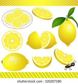 Lemon Digital Clipart