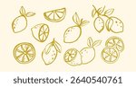 Lemon doodle fruit hand drawn vector illustrations set. Citrus, orange wedge, tropical lime with crayon texture.