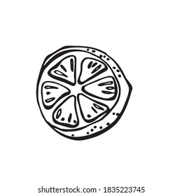 Doodle de limón. Ilustraciones dibujadas a mano. Elementos de diseño aislados. Ilustraciones dibujadas a mano. elemento de diseño para la decoración del menú, tarjeta de restaurante, ropa, postales.