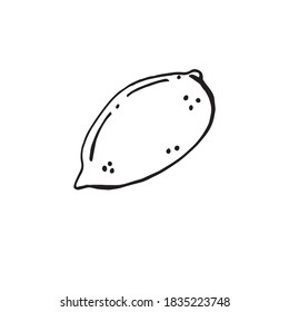 Lemon doodle. Hand drawn illustrations. Isolated design elements. Hand drawn illustrations. design element for decoration of the menu, restaurant card, clothes, postcards.