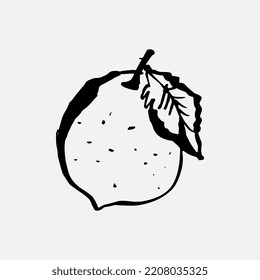 Lemon doodle icon. Single element hand drawn lemon sketch icon. Vector illustration of doodles for cafes and restaurants, cute postcards and culinary design.