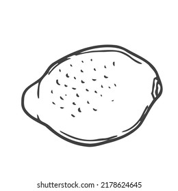 ícono de doodle de limón de limón en vector. Esbozo de esquema. Concepto de fruta