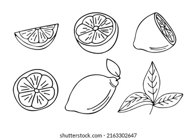 Ilustraciones de doodle de limón establecidas en vector. Colección de ilustraciones de limón dibujado a mano en vector.