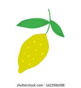 Lemon in doodle style isolated on white background. Summer fruit vector illustration. Hand drawn fresh organic citrus. 