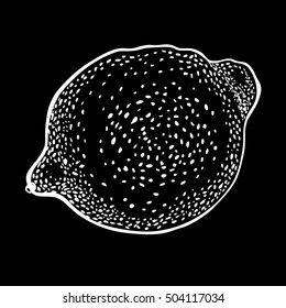 lemon drawing on chalkboard. Vector hand drawn graphic illustration.