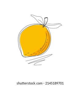 Lemon drawing with simple lines. Vector.