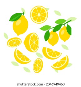 Lemon elements abstract vector design background