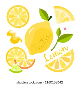 Lemon elements collection, isolated vector illustration, flat design