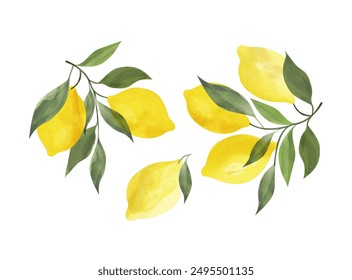 Lemon  elements isolated on white background 