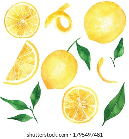 Lemon Elements Watercolor Illustration Vector. Lemon Set Isolated On White Background.