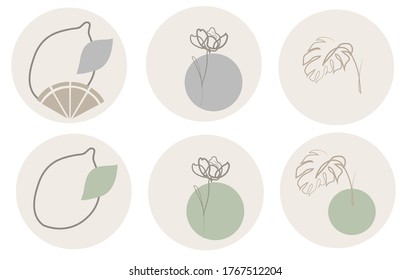 lemon, fern, rose in a simple style