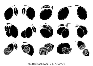 Lemon filled vector set illustration