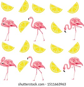 lemon and flamingo vector illustration