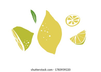 Lemon flat design illustration. Fruit set for your design