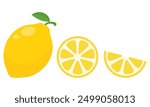 Lemon flat icons isolated on white background.