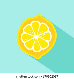 Lemon flat vector icon. Vector illustration of lemon. Flat design with long shadow