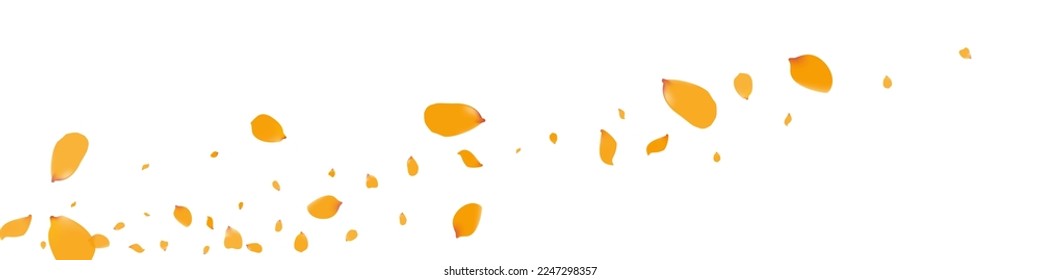 Lemon Floral Summer Vector White Panoramic Background. Fall Petal Template. Yellow Peony Tender Backdrop. Beautiful Tulip Beauty Cover.