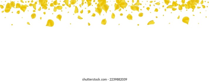 Lemon Flower Flying Vector Panoramic White Background. Tender Blossom Design. Canary Peach Beauty Banner. Gold Floral Fly Backdrop.