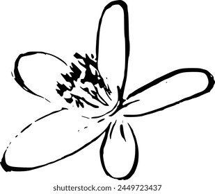 Lemon flower hand drawn vector sketch illustration. Purchase poster, print, home decoration, menu cover, invitation, design template.