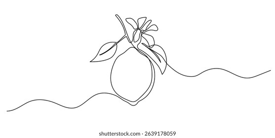 Lemon with flower one line illustration. Vector continuous outline isolated sketch of fruit, vector drawing