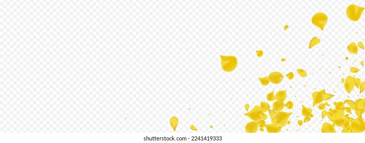 Lemon Flower Spring Vector Panoramic Transparent Background. Fly Blossom Illustration. Gold Petal Tender Pattern. Mustard Cherry Blur Backdrop.