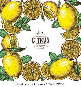 Lemon frame. Fresh citrus collection. Hand drawn vector illustration. Organic food, citrus design template. Colored illustration.
