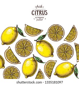Lemon frame. Fresh citrus collection. Hand drawn vector illustration. Organic food, citrus design template. Colored illustration 