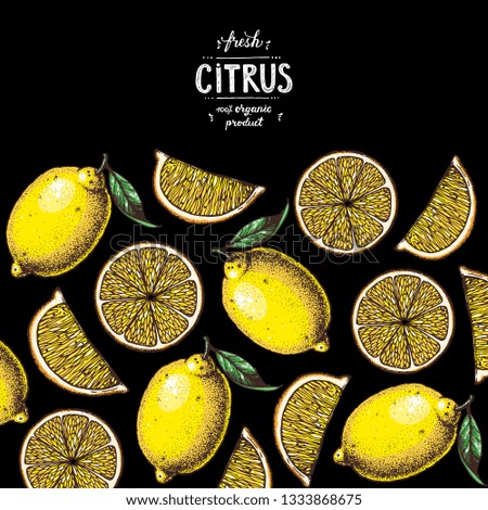 Lemon frame. Fresh citrus collection. Hand drawn vector illustration. Organic food, citrus design template. Colored illustration 