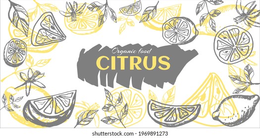 Lemon frame hand drawn. Yellow whole lemons and slices and quarter and  leaves of lemon tree. Vector illustration.