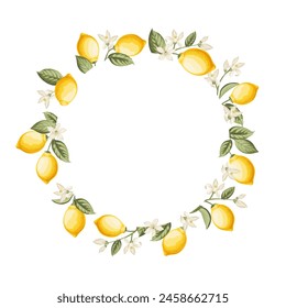 Lemon frame illustration. hand-drawn citrus.