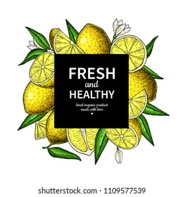 Lemon frame vector drawing. Citrus fruit square label template. Hand drawn summer illustration. Flyer, packaging design concept. Great for tea, juice, natural cosmetics, lemonade