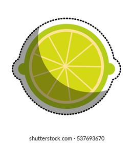 lemon fresh fruit drawing icon vector illustration design