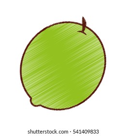 lemon fresh fruit isolated icon vector illustration design