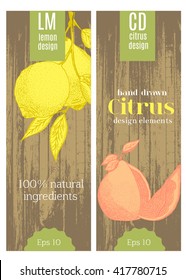 Lemon  fresh juice label template for citrus fruit products. Vector mockup for a package of citrus.Layout, mockup design for cosmetics products, beauty salon, natural and organic products.