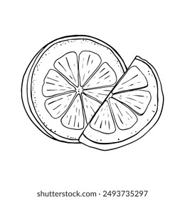 Lemon fresh juice mint summer hand drawn scribble doodle line art sketch vector illustration